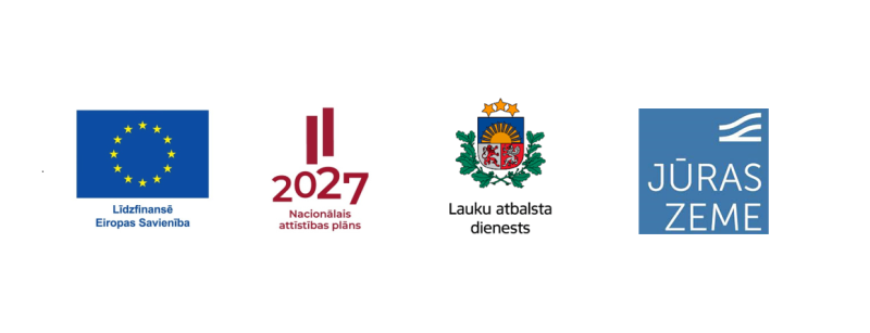 logo rinda