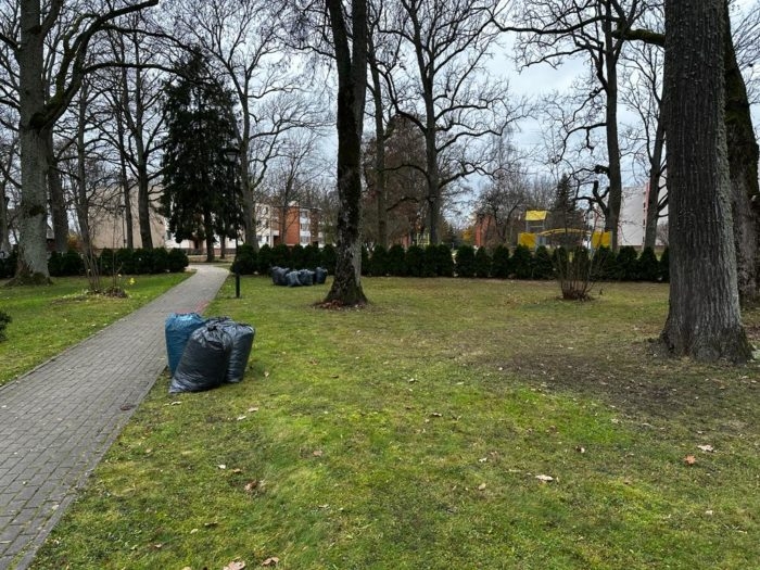 Ādažu Brīvās Valdorfa skolas un Carnikavas pamatskolas skolēni sakopj Carnikavas parku