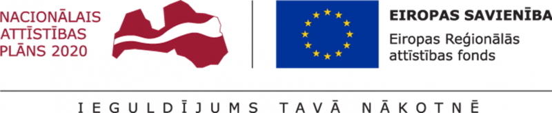 nacionālais attīstības plāns 2020, es, ERAF