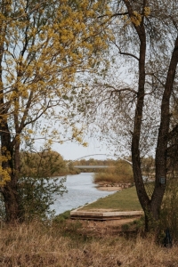 Gaujas skats caur kokiem