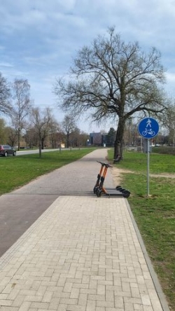 skrejritenis, ādaži