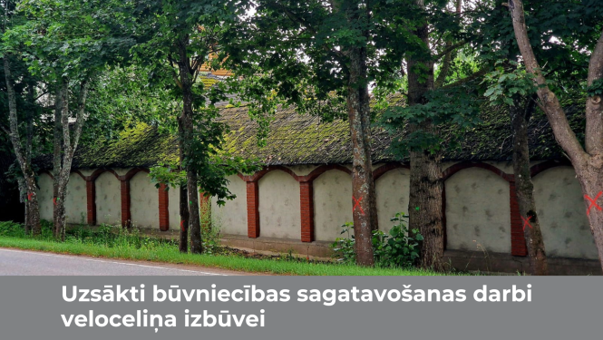 koki veloceliņam