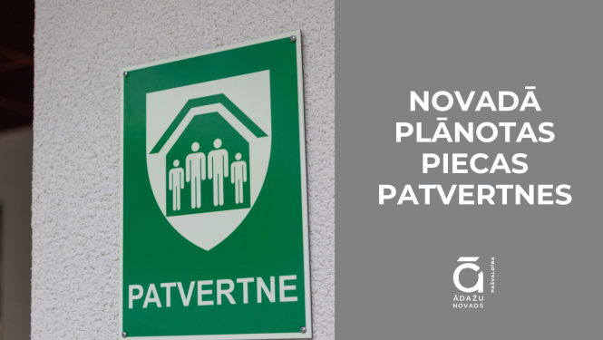 patvertnes