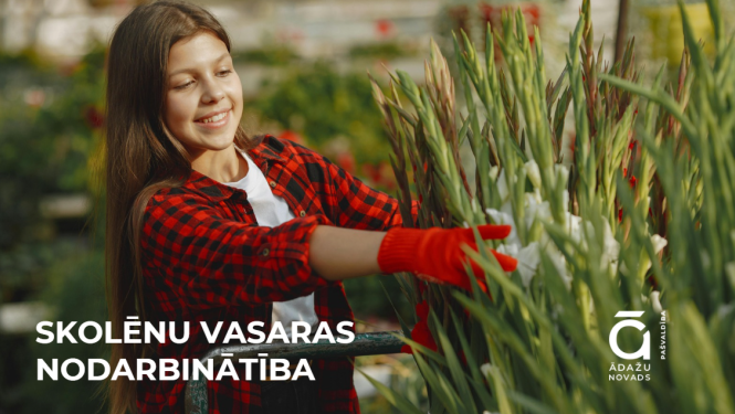 vasaras darbs2026