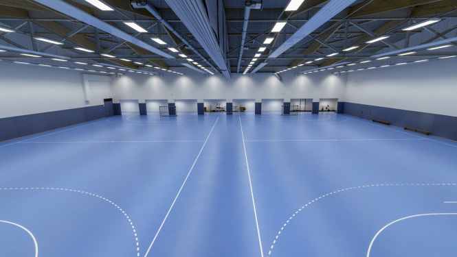Gerflor Taraflex