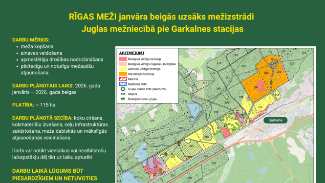 mežizstrādes darbi