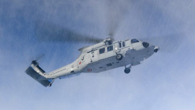 helis vertikali