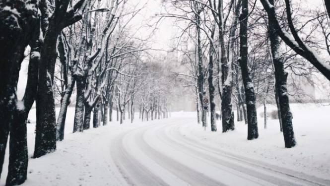 snow-winter-