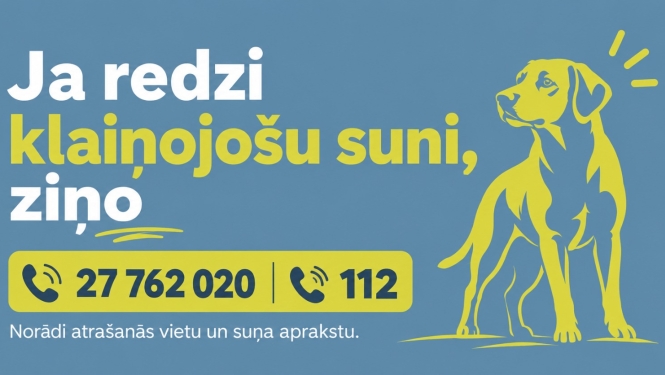 informācija, kur vērsties, ja redzi klaiņojošu suni