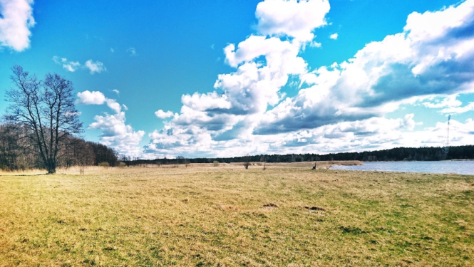 Pļava