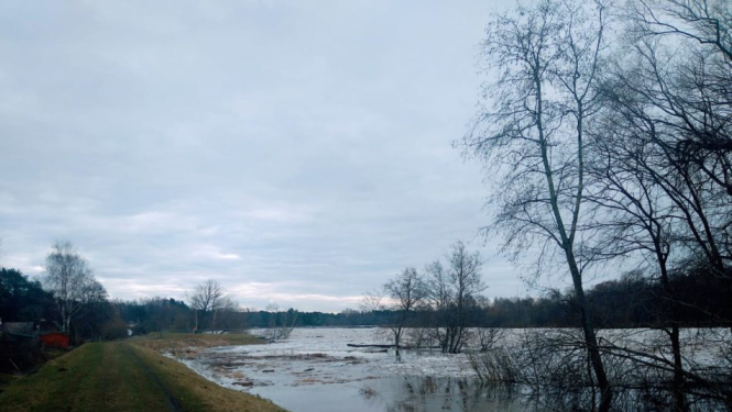 Gauja