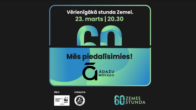 Zemes stunda