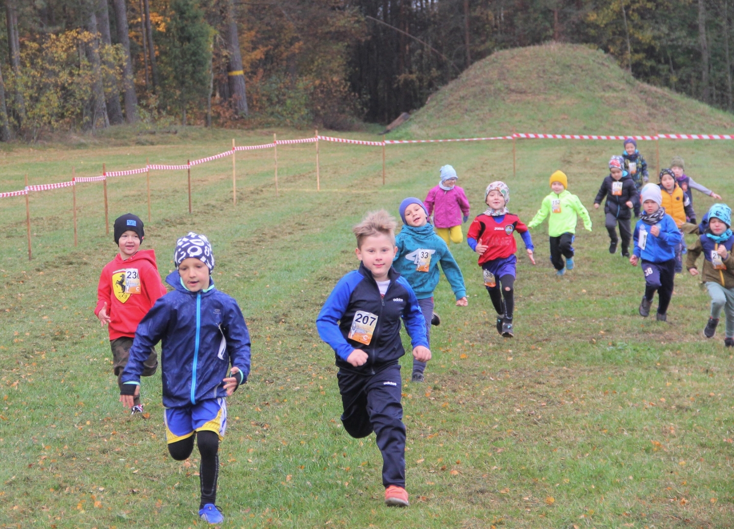 Rudens Zibens kross