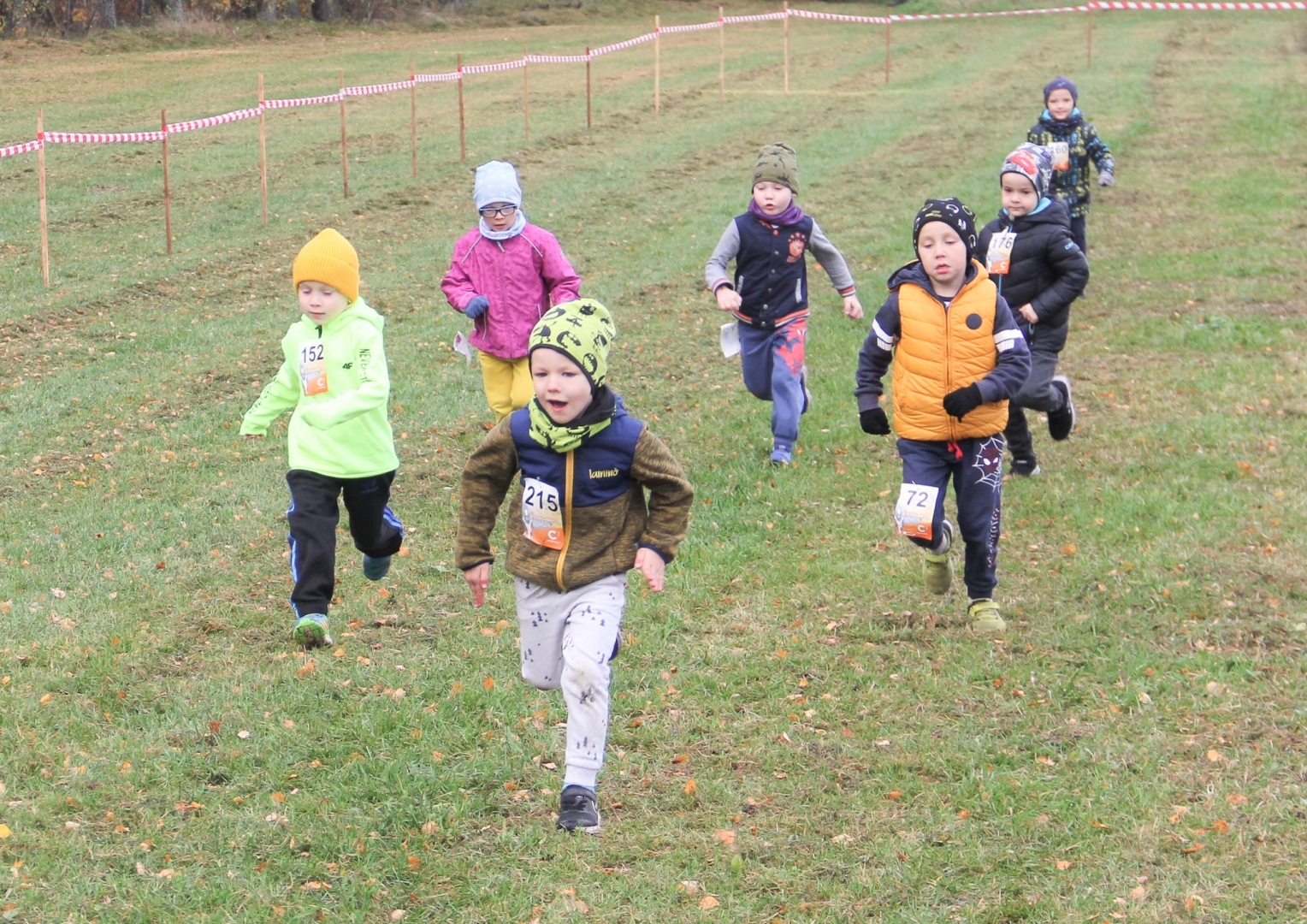 Rudens Zibens kross