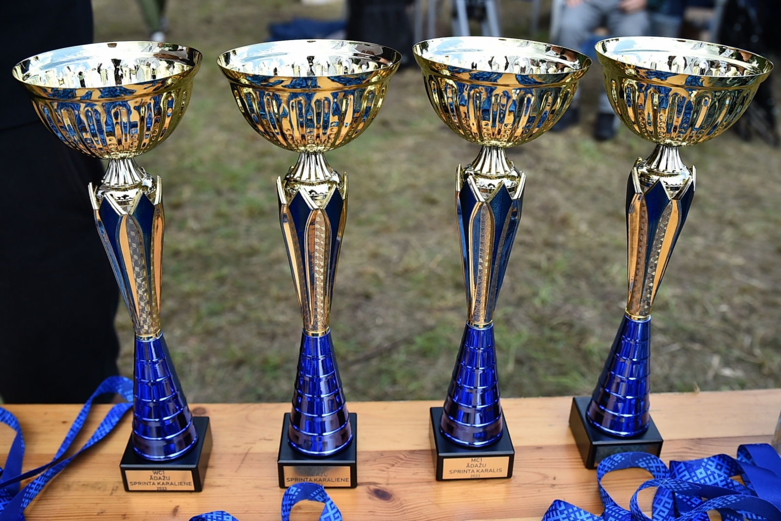 Ādažu čempionāts airēšanas slalomā
