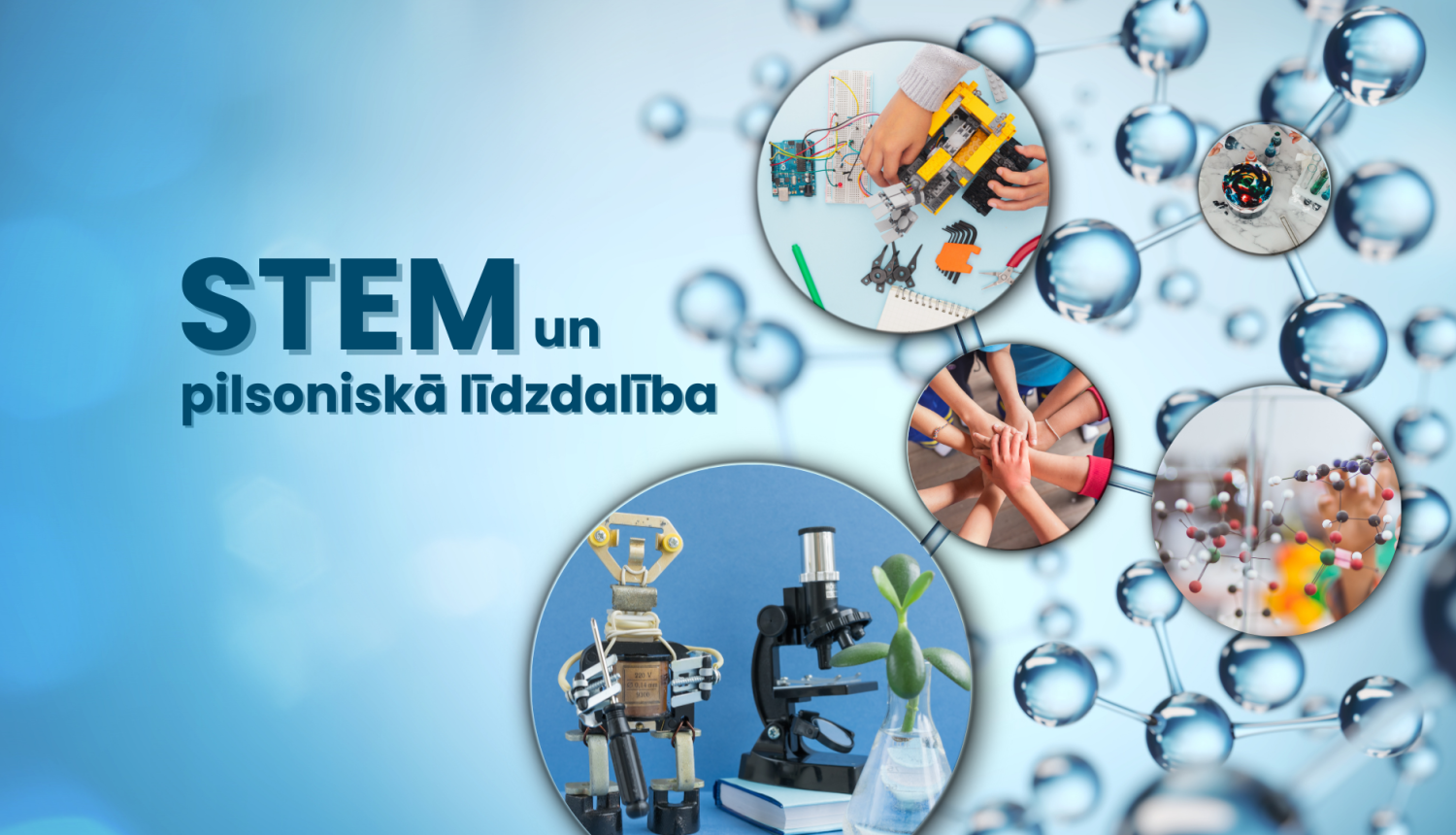 stem