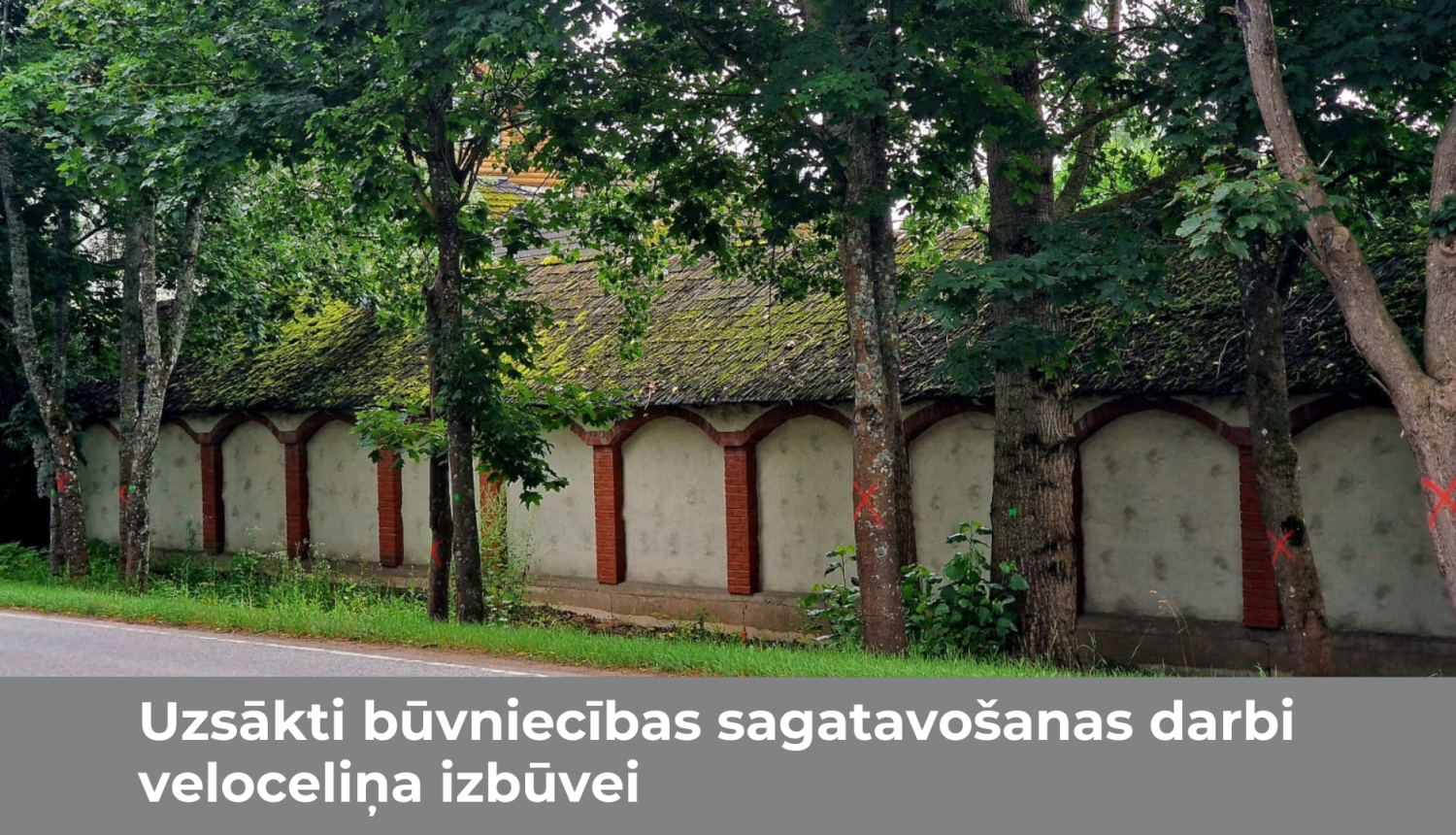 koki veloceliņam