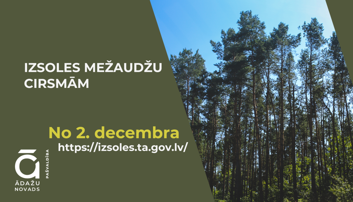 izsoles