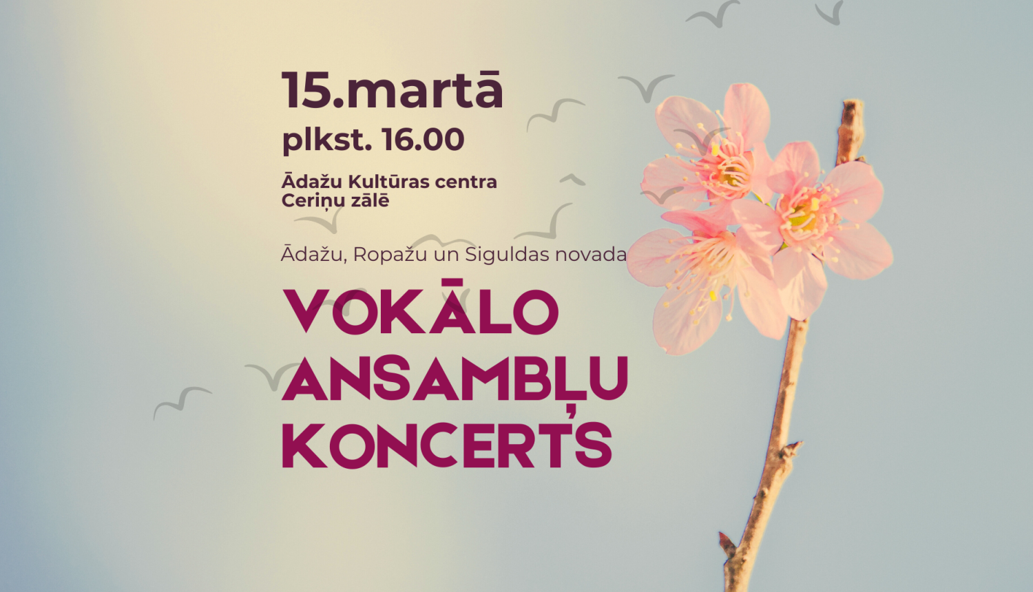 koncerta afiša