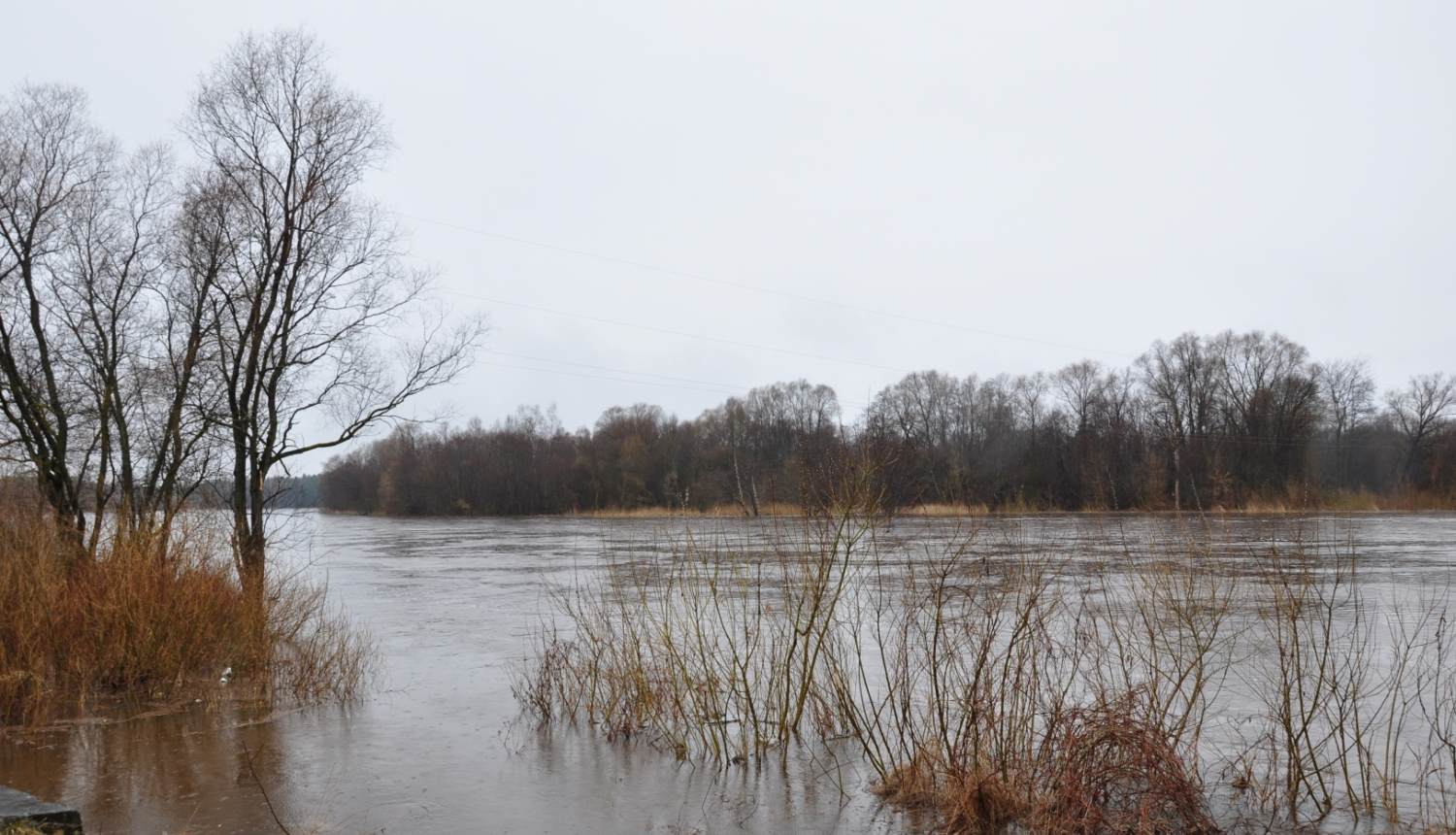 Plūdi, Gauja