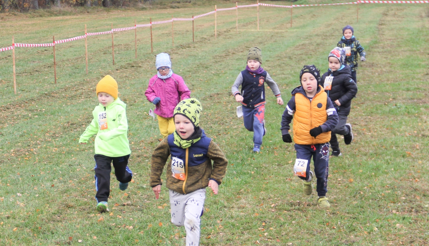 Rudens Zibens kross