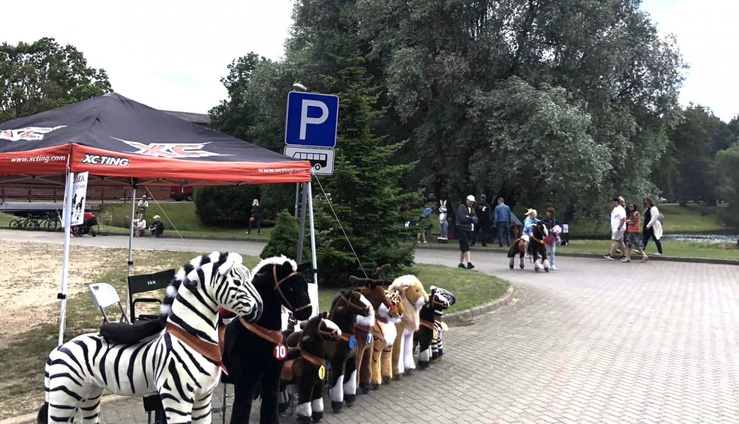 ponicikls