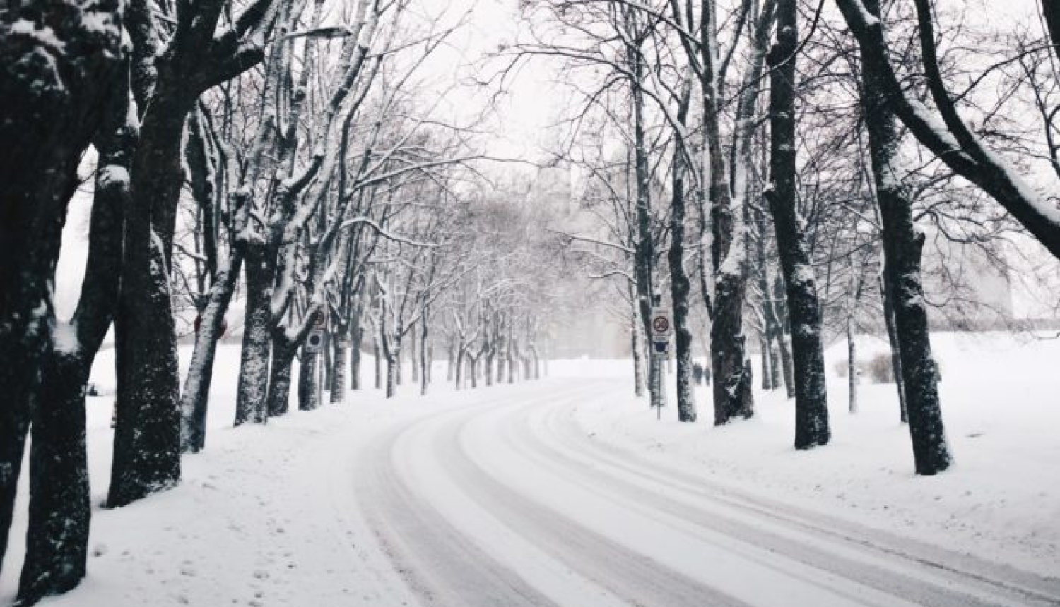 snow-winter-