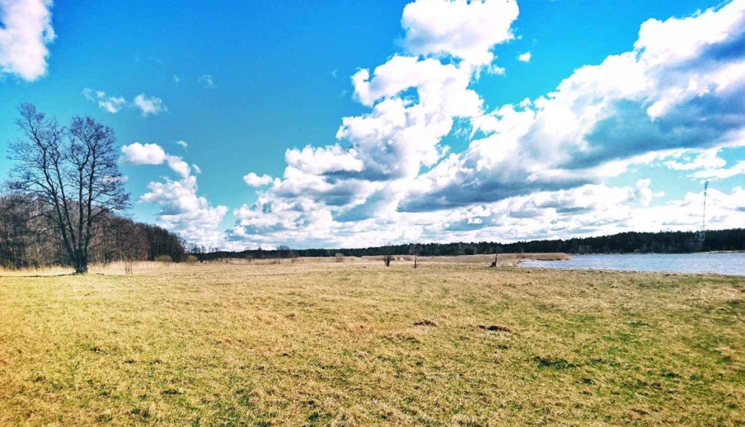 Pļava
