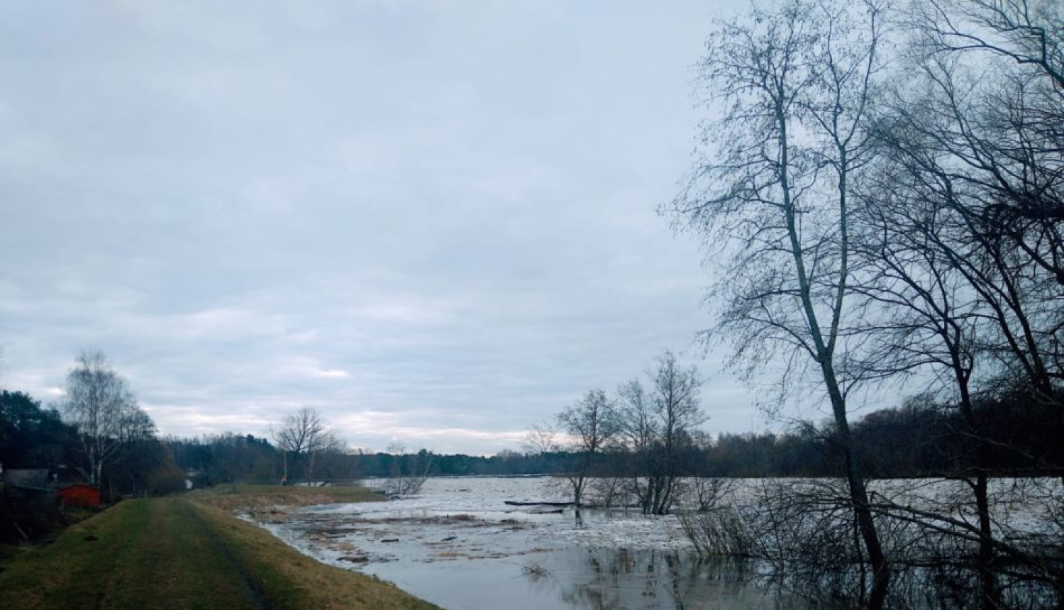 Gauja