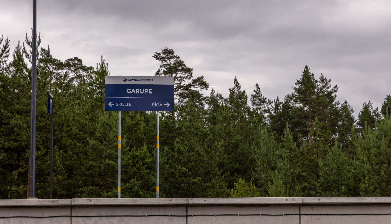 Garupe