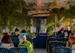 Nēģu vilciens