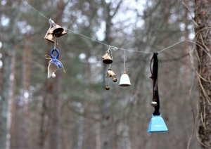 FOTO: Zvaniņu ceļa pastaigu taka nedēļas nogalē pulcē vairāk nekā 100 apmeklētājus