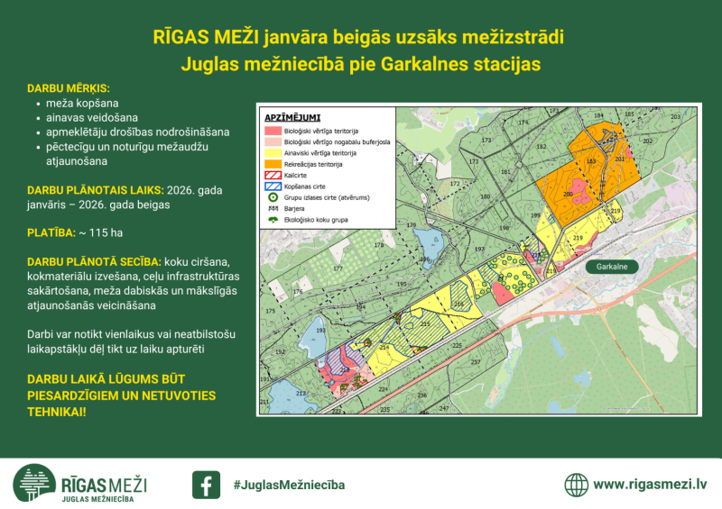 mežizstrādes darbi