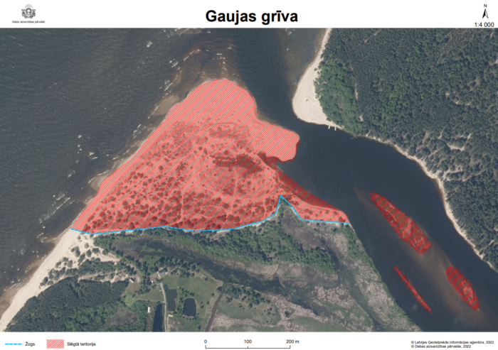 gaujas griva