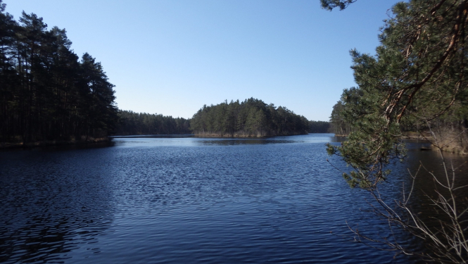 garezers