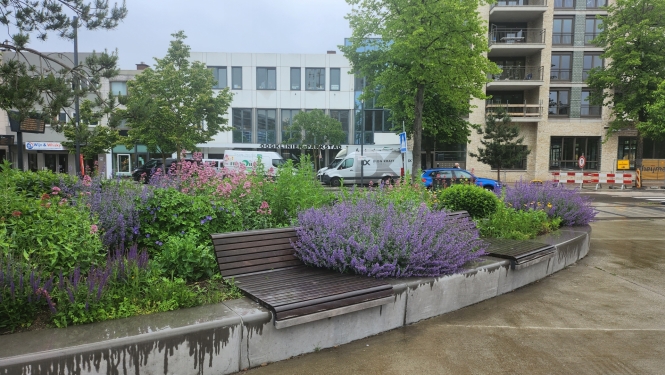 NL_2024maijs_1