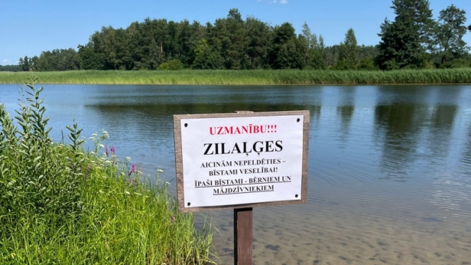 zilaļģes