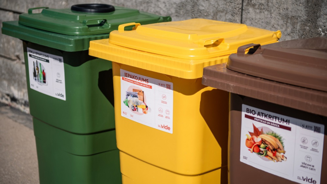 ecobaltia vide