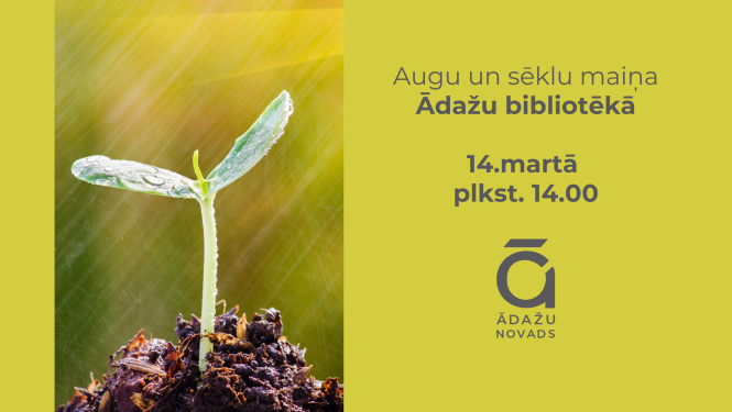 seklu maina