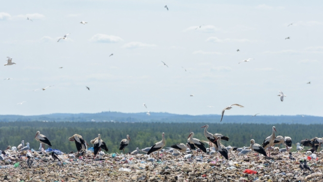 Foto: Kaspars Garda | Getliņi EKO