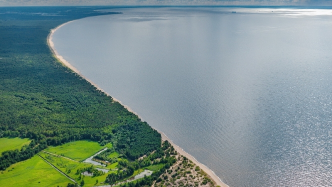 Jūra no putna lidojuma