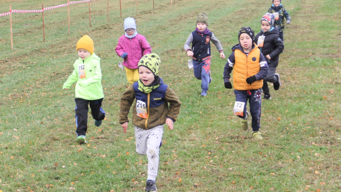 Rudens Zibens kross