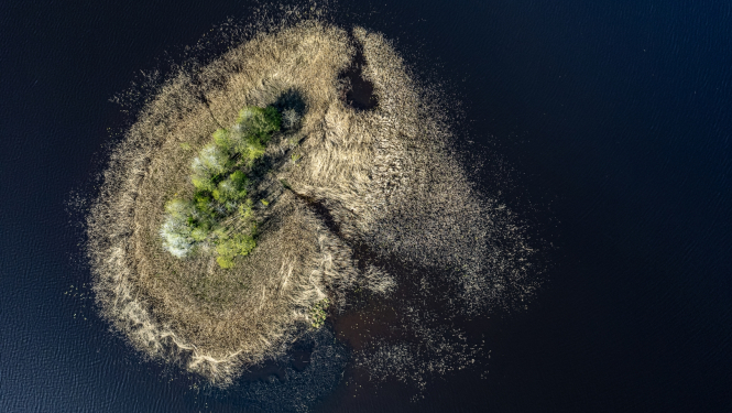 Inese Austruma "Lilastes ezers"