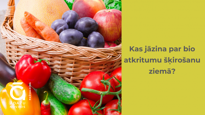 atkritumi ziemā