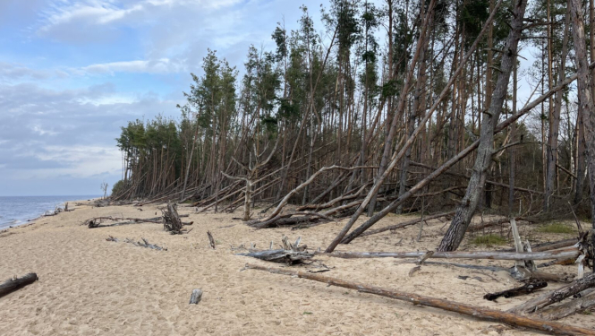 Piejūras rogainings 2025 - Carnikava