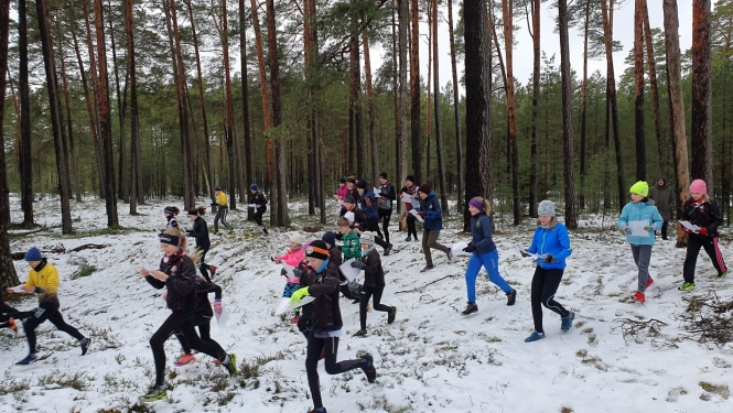 Ziemas Magnēts, starts