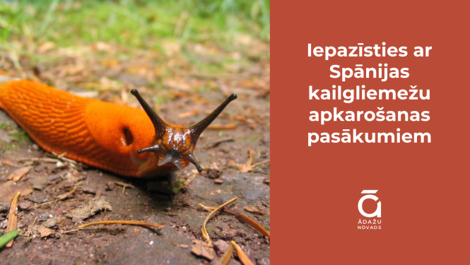 spānijas kailgliemezis