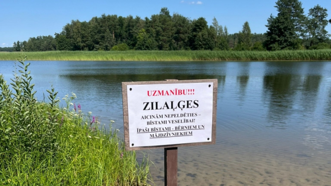 zilaļģes