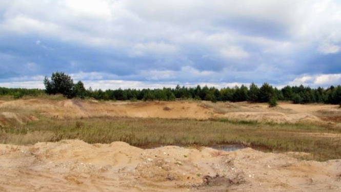 Ko darīt, ja piekrastē pamani ronēnu?