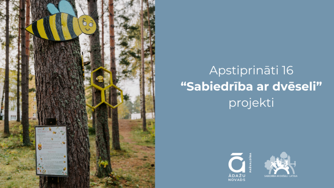 vizuālis_apstiprinātiem Sabiedrība ar dvēseli projektiem